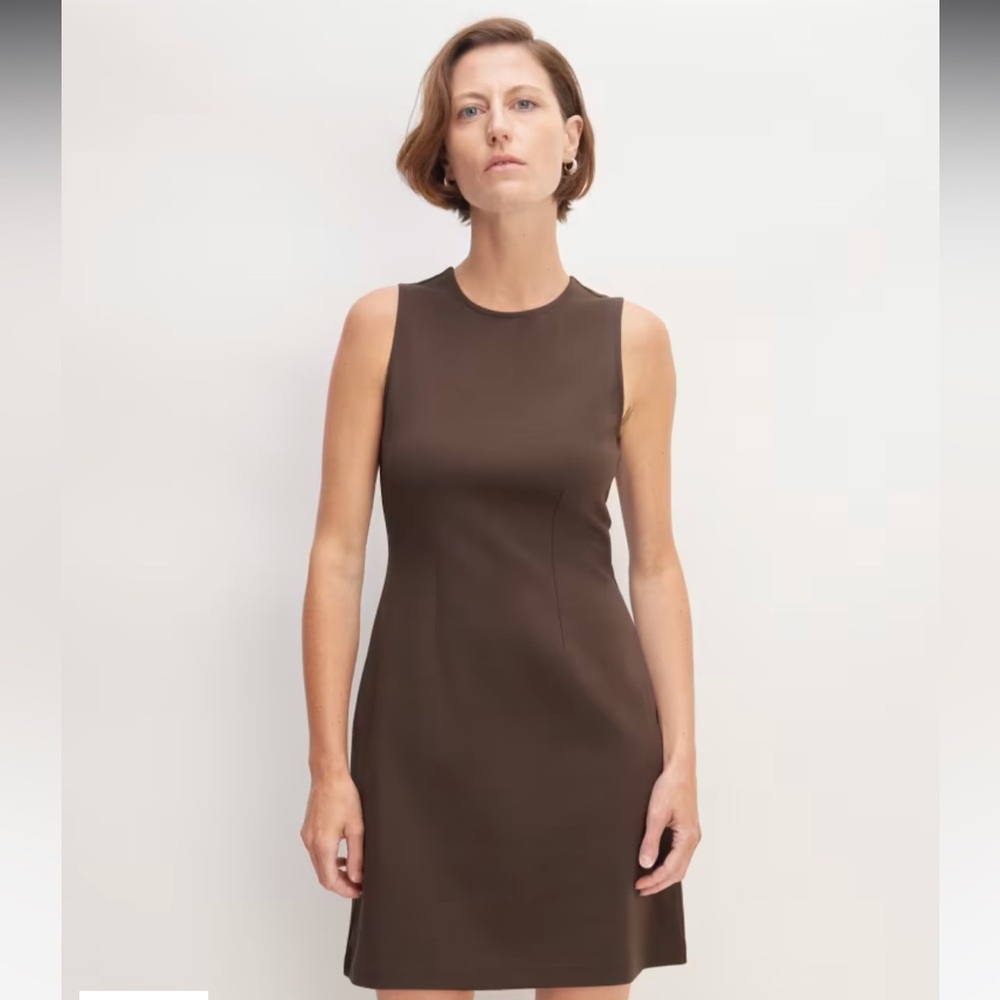 Everlane Dream 90s shift dress